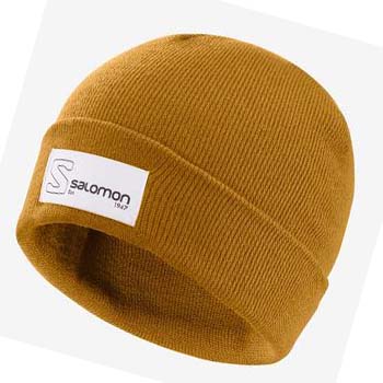 Salomon OUTLIFE LOGO Kalap Férfi Barna | HU 2636HAP